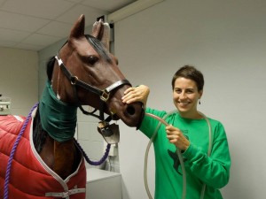 Vet_with horse