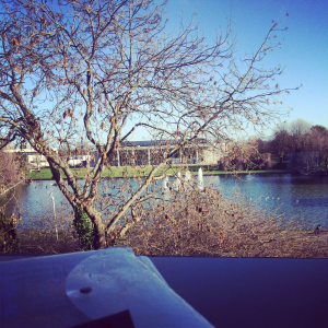 My favourite seat in the library – like the bus, I like having a view when I’m studying!