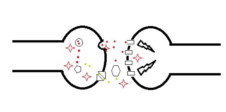 This is the basics for any pharmacologist. They will see a drawing like this of a cell signal that is known to go wrong. From this drawing, they will then be able to find potentially every site that could be targeted by drugs to increase or decrease the signal depending on what is needed this has been labelled by red stars. This is how pharmacologists decide how to design their experiments and trials to make new drugs to treat all the conditions out there. 