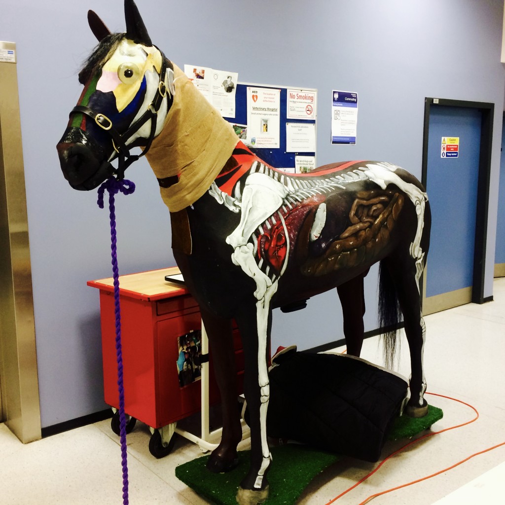 Veterinary Medicine Clinical Skill Lab