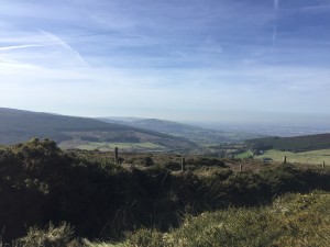 UCD Science Study Abroad