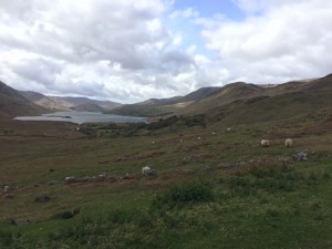 IMG_7771