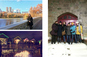 Central Park, a Christmas market and a bunch of us wrapped up against the cold!