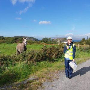 One rock climber and a horse