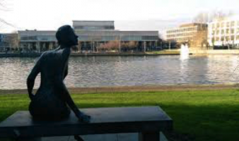 Exploring your Horizons in UCD