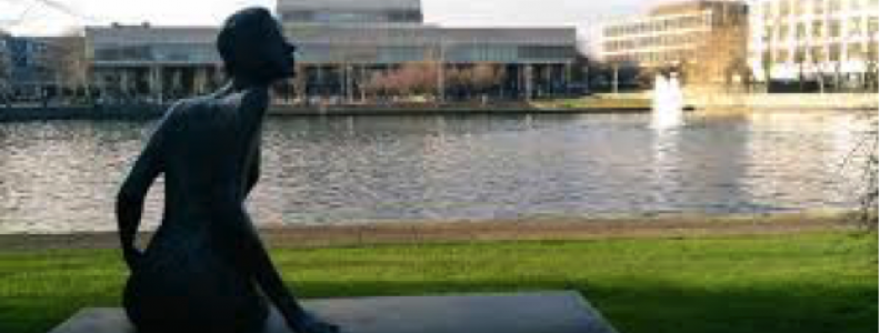 Exploring your Horizons in UCD