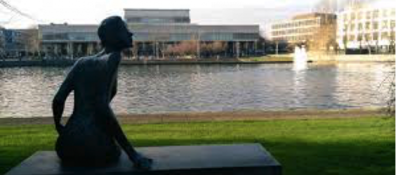 Exploring your Horizons in UCD