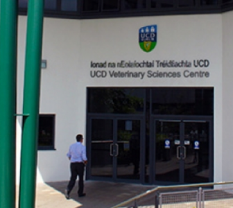 Studying Veterinary Medicine in UCD