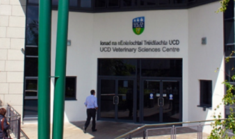 Studying Veterinary Medicine in UCD