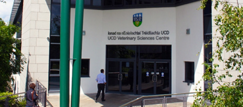 Studying Veterinary Medicine in UCD