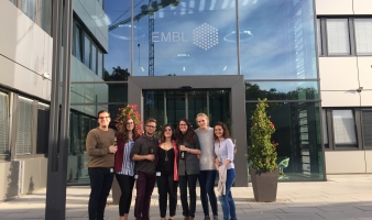 Starting my Internship at EMBL