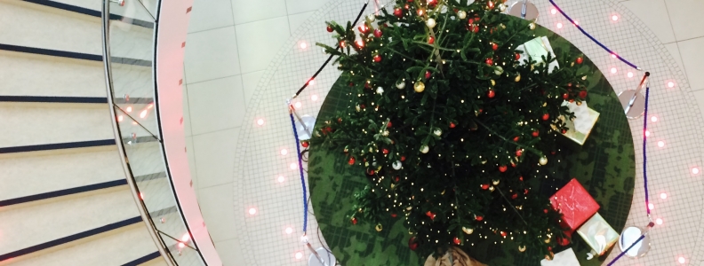*WARNING contains graphic UCD Christmas cheer*