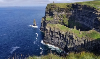 Choosing to Study at UCD as an International Veterinary Medicine Student