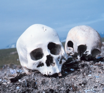 An Introduction to Forensic Anthropology