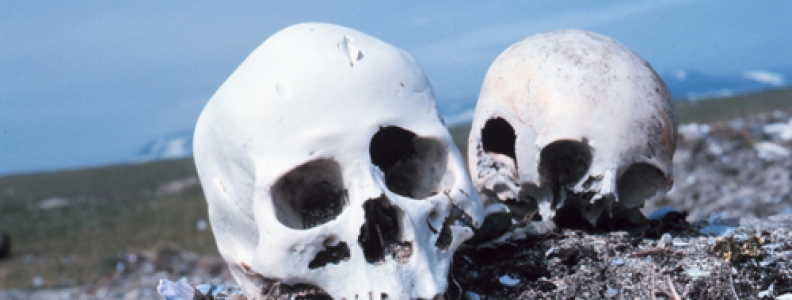 An Introduction to Forensic Anthropology