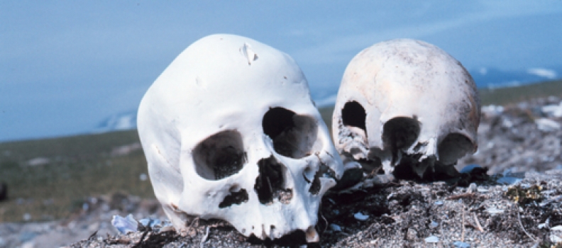 An Introduction to Forensic Anthropology