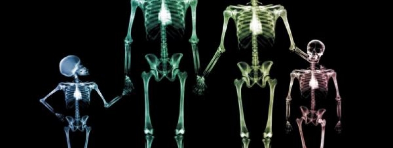 Why choose radiography in UCD?