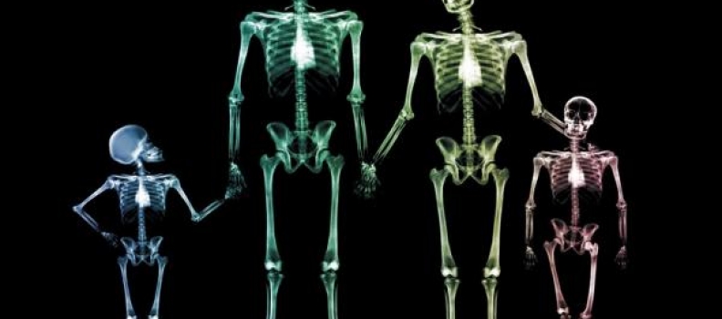 Why choose radiography in UCD?