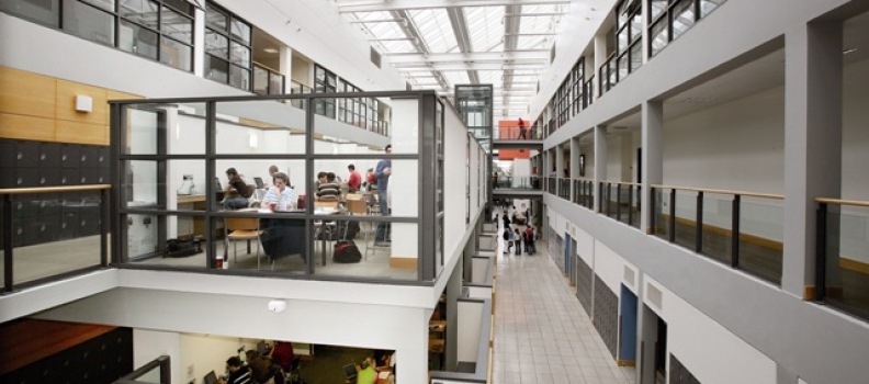 Why I Chose Commerce at UCD