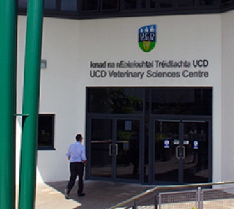 Reasons to study Veterinary Medicine in UCD