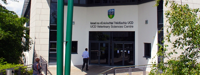 Reasons to study Veterinary Medicine in UCD