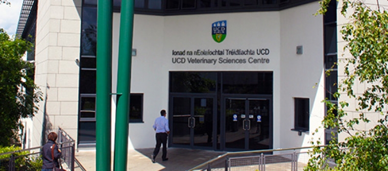Reasons to study Veterinary Medicine in UCD